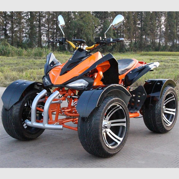 4WD strand motorcykel